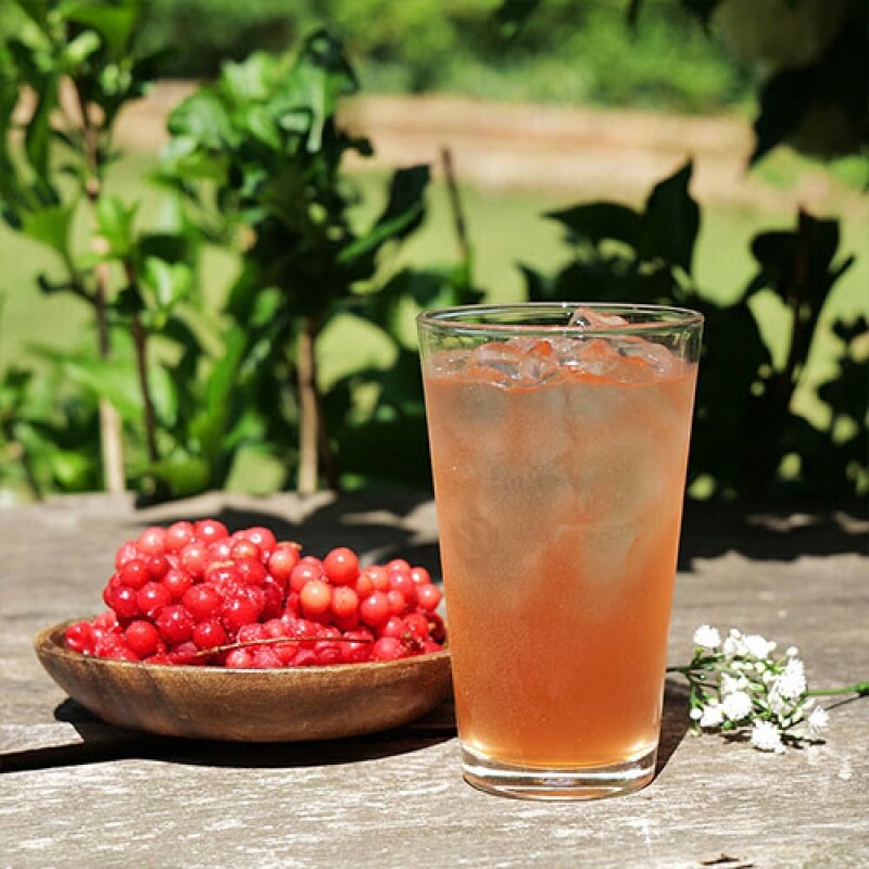오미자, 오미자청,오미자원액,오미자엑기스,오미자즙,선물,전통방식인제푸드, 인제향기, 수제오미자청,카페용,업소용,산지직송,대용량오미자, 대용량오미자청, 국내산오미자, 강원도오미자, 인제오미자, 직접재배오미자, 발효오미자, 발효청, 문경오미자